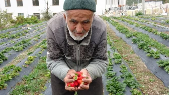 Hayır Bahçesi ile tanınan İbrahim dede bahçesinde fenalaşarak hayatını kaybetti