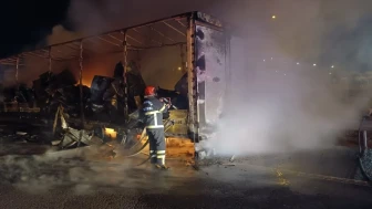 Şanlıurfa-Gaziantep Otoyolu'nda beyaz eşya yüklü tır alev alev yandı