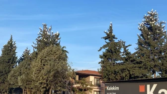 Osmaniye'nin Düziçi ilçesinde sığır balıkçıllarının kış konaklaması ilgi çekiyor