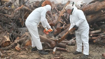 Manisa'da budanan ağaç dalları ihtiyaç sahiplerini ısıtıyor