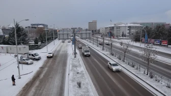Malatya'da kar yağışı nedeniyle ulaşım aksadı ve çok sayıda kaza meydana geldi