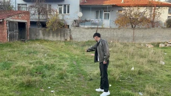 Eskişehir’de boş arsada 8 ölü kedinin şüpheli ölümleri araştırılıyor