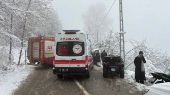 Sakarya'nın Hendek ilçesinde kar nedeniyle kayganlaşan yolda kontrolden çıkan otomobil şarampole devrildi
