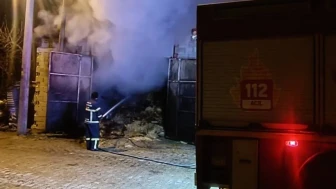 Uşak'ın Banaz ilçesinde samanlık yangınında 5 koyun telef oldu