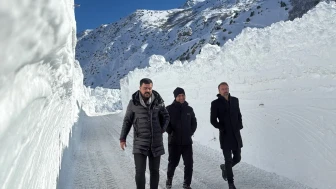 Van-Çatak yolu çığ düşmeleri nedeniyle 4 gündür ulaşıma kapalı