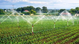 Samsun’da kırsal üretimi desteklemek için 33,6 milyon liralık hibe sağlandı