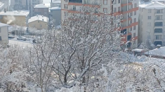 Kulp ilçesi üç günlük kar yağışının ardından beyaz örtüyle kaplandı