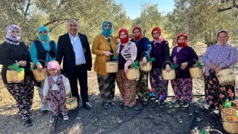 Ayvalık zeytinyağı sektöründe markalaşma için karekod çalışmaları başladı