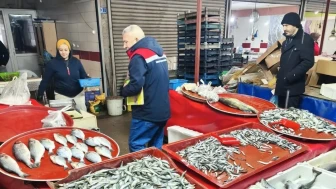 Beyşehir’de su ürünleri denetimlerinde balıkların boy ölçümleri yapıldı