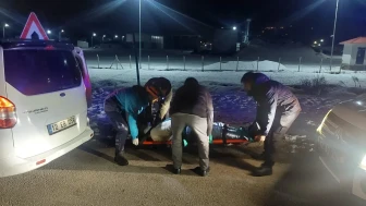 Bingöl’de otomobil domuz sürüsüne çarptı ve 3 kişi yaralandı