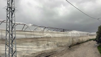 Muğla’da Seydikemer Kumluova’da hortum ve fırtına nedeniyle seralarda hasar meydana geldi