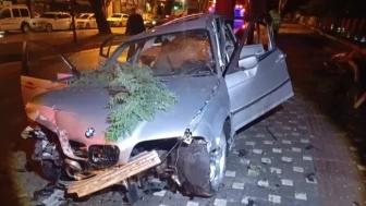 Bursa’da kontrolden çıkan otomobil kaldırıma ve ağaca çarptı, 2 kişi ağır yaralandı