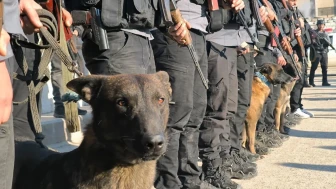 Rakka'da özel eğitimli köpeklerle bomba arama çalışmaları devam ediyor