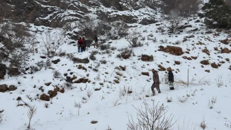 Kemaliye’de yaban hayvanları için yemleme faaliyeti gerçekleştirildi