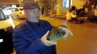 Manisa’da sağanak yağış nedeniyle otomobil dereye düştü ve elektrikli otomobil alev aldı