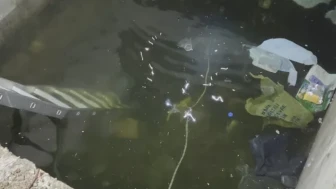 Adana'da yağışlar sonrası bodrum kata düşen kişi hayatını kaybetti