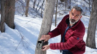 Erzincan'da fotokapanlarla vaşak ve kurt görüntülendi