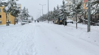 dicle'de yoğun kar yağışı hayatı olumsuz etkiledi