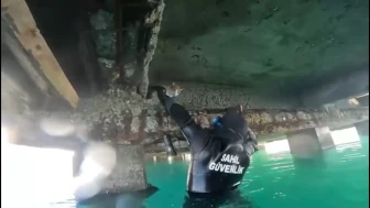 Balıkesir’de mahsur kalan kedi sahil güvenlik tarafından kurtarıldı