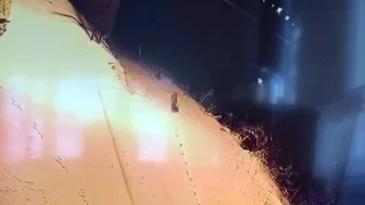 Sivas’ın Gürün ilçesinde aç kalan kurt sürüsü şehir merkezine indi