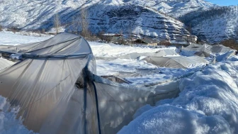 Derecik’te kardan dolayı 38 sera zarar gördü