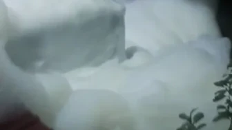 Yalova'da su hattında köpüklenme olayına karışan 3 şüpheliye 5'er yıl hapis cezası