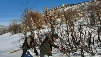 Gercüş'te orman ekibi doğadaki canlıları yalnız bırakmadı