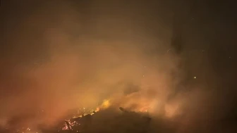 Filyos'ta ağaçlık alanda çıkan yangın itfaiye tarafından söndürüldü