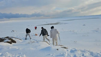 Bitlis'in Adilcevaz ilçesinde kuş cenneti olarak bilinen Arin Gölü tamamen dondu