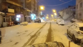 Şırnak'ın Beytüşşebap ilçesinde çığ düştü, köy yolları ekiplerin çalışmasıyla açıldı