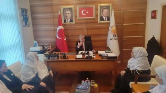 AK Parti Genel Başkan Yardımcısı Yalçın Mihalgazi Belediye Başkanı Güneş ile görüştü