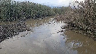 Sultanhisar'da kurutma kanalı taştı, tarım arazileri sular altında kaldı