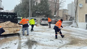 Kırklareli'nde kar yağışı sonrası solüsyonla ilaçlama ve tuzlama çalışmaları başladı