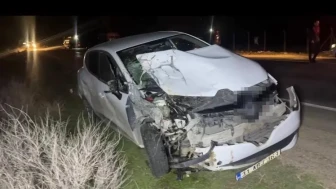 Ceylanpınar’da otomobil at arabasına çarptı: 2 yaralı