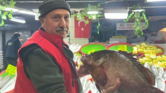 Sivas’ta 7.5 kiloluk dev orfoz balığı tezgahta satışa sunuldu