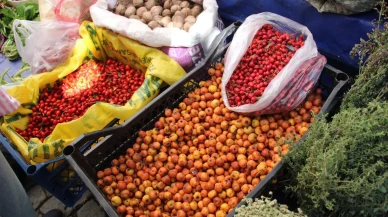 Aydın’da kışın habercisi alıç meyvesi pazarlarda ilgi görüyor