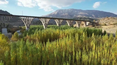 Adıyaman'ın Alman Köprüsü sonbahar renkleriyle büyüleyici bir manzara sunuyor.