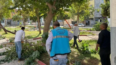 Eyyübiye Belediyesi Parkları Yenileme Ve Bakım Çalışmalarına Devam Ediyor