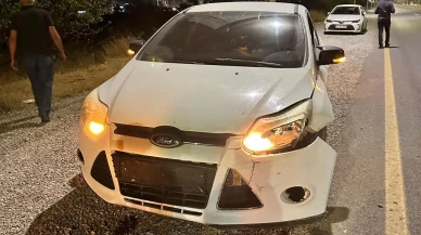 Malatya'da otomobilin çarptığı yaban domuzu hayatını kaybetti