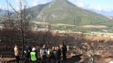 Honaz Dağı Milli Parkı'nda yanan alanlar için ağaçlandırma çalışmaları başladı