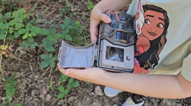 Bensu Demir fotokapanla Artvin’de yaban hayvanlarını görüntülüyor