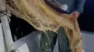 Kırklareli'nin Kıyıköy beldesinde palamut balığı azaldı balıkçılar zor durumda