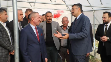 Hakkari'de 47 sera kadın çiftçilere teslim edildi