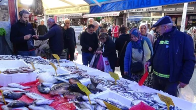 Samsun’da hamsi fiyatı 300 TL’den 100 TL’ye düştü