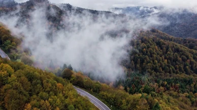 Çam Dağı’nda sonbahar renk cümbüşü ile sis buluştu