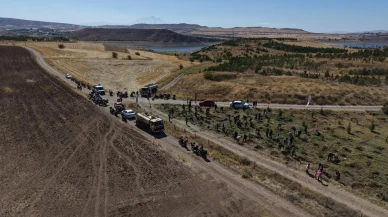 Kayseri Büyükşehir Belediyesi Sarımsaklı'da 1500 fidan dikti