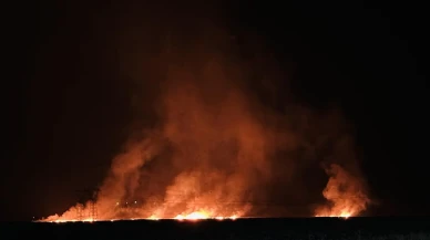 Hakkari'de Nehil Sazlığı'ndaki yangın köyleri tehdit ediyor