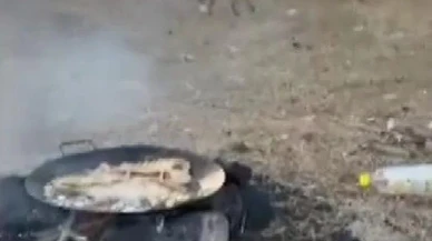 Kars'ta tilkiler yerleşim yerlerinde yiyecek arayışıyla dolaşıyor