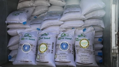 Bursa Büyükşehir Belediyesi çiftçilere İtalyan çimi dağıttı