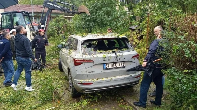 Zonguldak'ın Çaycuma ilçesinde fırtınada devrilen ağaç otomobile hasar verdi